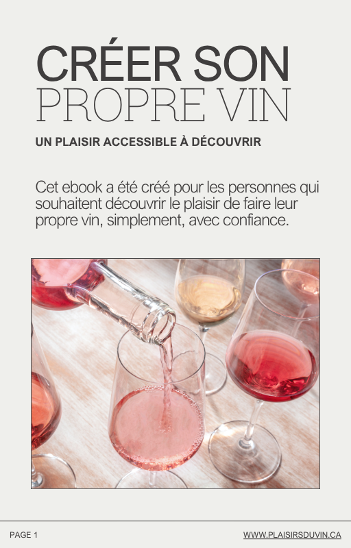 Ebook gratuit – Créer son propre vin : un plaisir accessible à découvrir